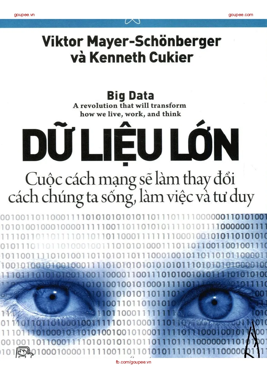 Sách Big Data Dữ liệu lớn - TG Viktor Mayer